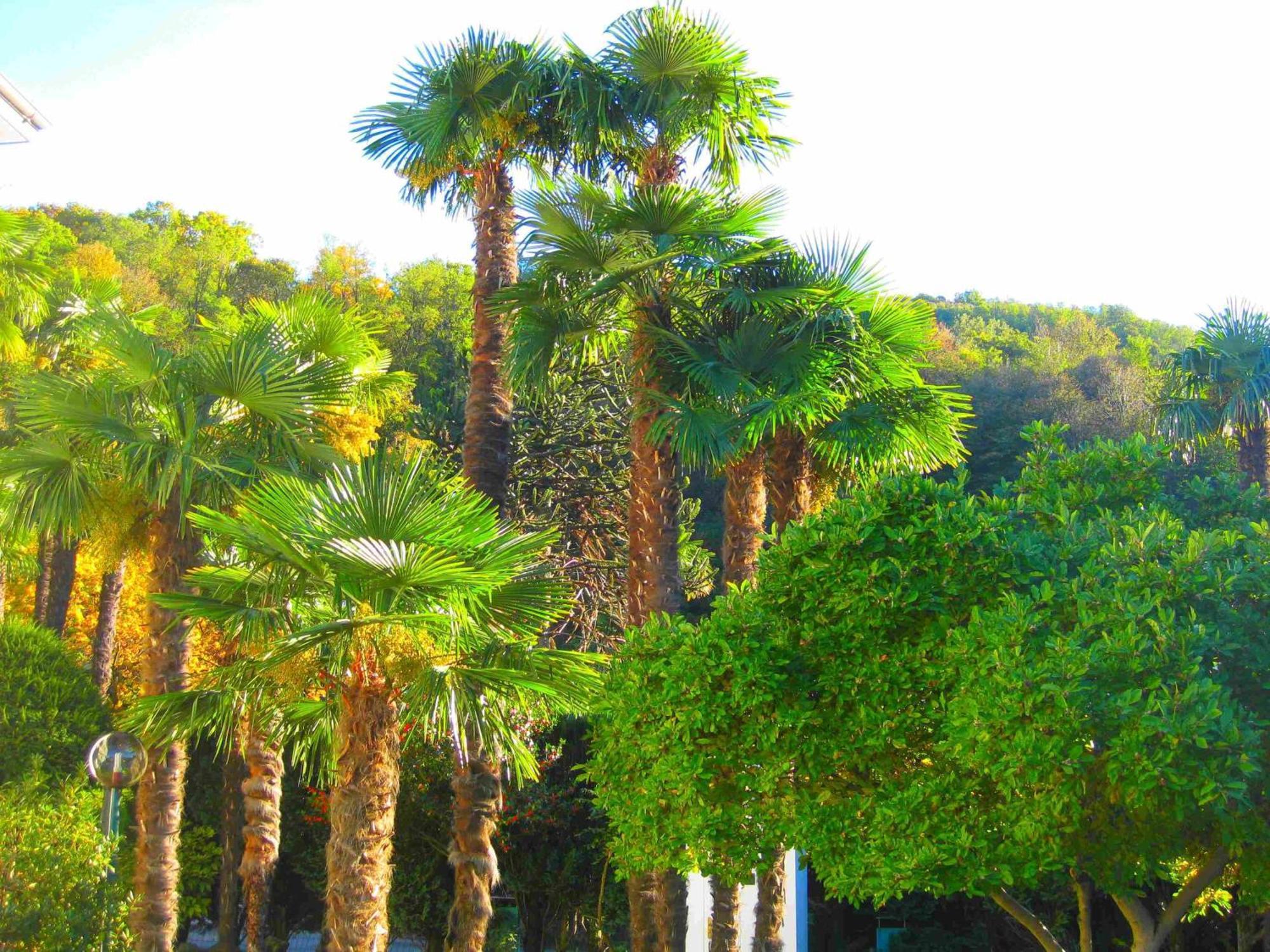 Villa Garni Gardenia กาสลาโน ภายนอก รูปภาพ